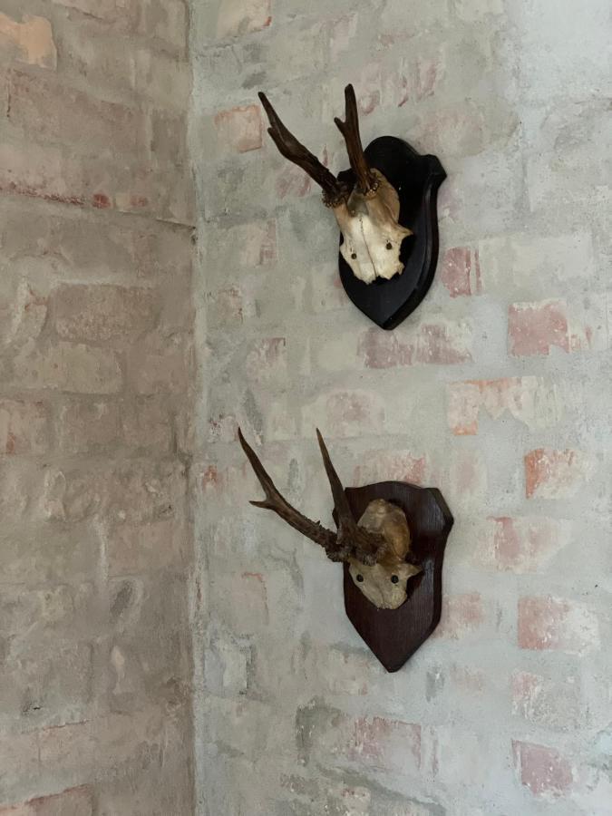 Feriehus I Skon Natur Stenstrup Luaran gambar